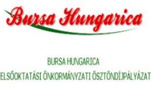 bursa hungarica