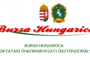 bursa hungarica